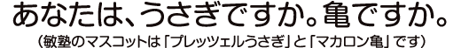 あなたは、うさぎですか。亀ですか。